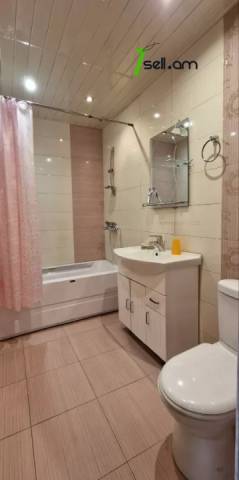 Մեկ հարկանի քարե տուն Դավթաշենի 5-րդ փողոցում Դավիթաշենում, 120 ք.մ., եվրովերանորոգված