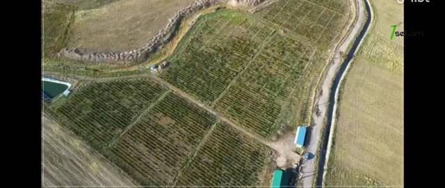 Հողատարածք ընդհանուր օգտագործման 1-րդ փողոցում Ակունքում, 30,000 քմ