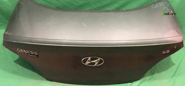 Hyundai Genesis 2008-2011 բագաժնիկ