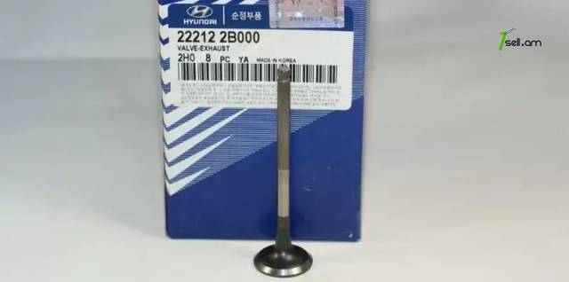 Hyundai Solaris Շարժիչի Կլապան