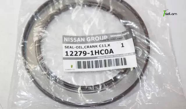 Nissan Qashqai Կալենվալի Սալնիկ