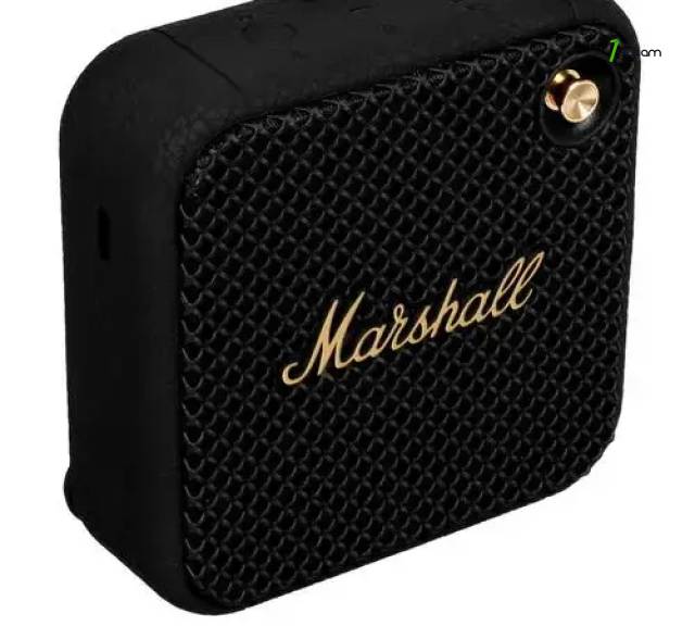Колонка Marshall Willen, черный
