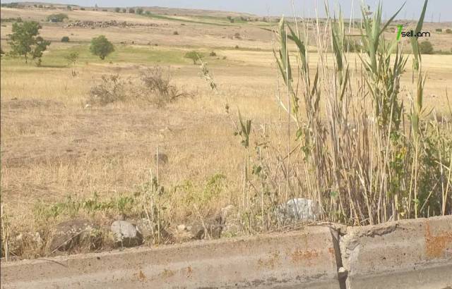 Գյուղատնտեսական հողատարածք Զովունիում, 3545 ք.մ.