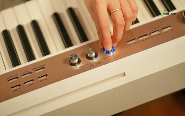 Nux NPK-20 Digital Piano