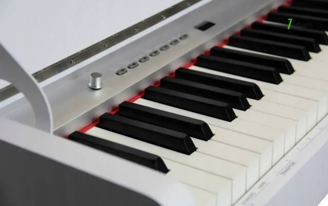 Nux WK-310 Digital Piano