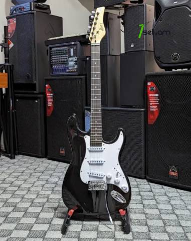 Electro Guitar Black