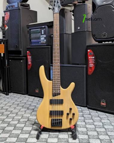 Bass Guitar Jinyin 5 լար