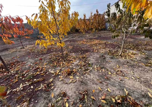 Մեկ հարկանի քարե տուն Ղափանցյան փողոցում Արաբկիրում, 500 ք.մ., եվրովերանորոգված