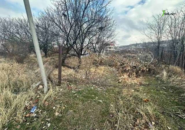Գյուղատնտեսական հողատարածք, Ձորաղբյուր 1-ին թաղամաս Ձորաղբյուրում, 1500 ք.մ.