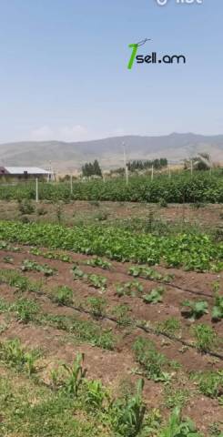 Գյուղատնտեսական հողատարածք Պտղնիում, 3000 ք.մ.