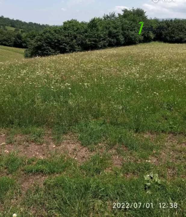 հողատարածք 