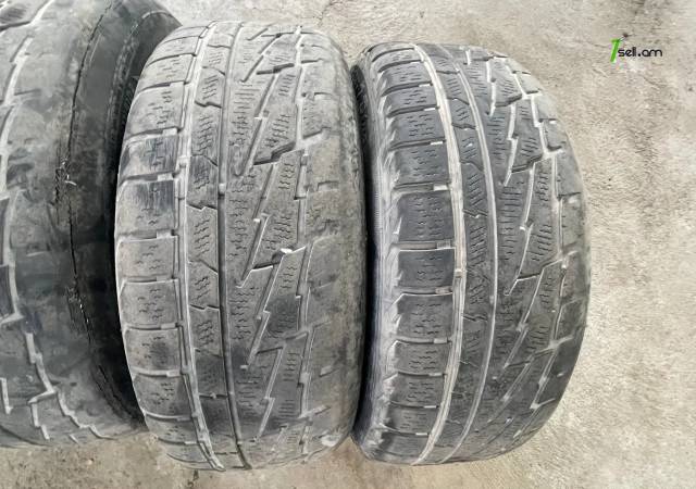 GGG.R16 4hat mercedesii անվահեծ