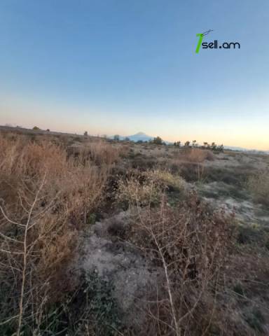Գյուղատնտեսական հողատարածք, Զվարթնոց թաղամաս Էջմիածինում, 10,000 ք.մ.