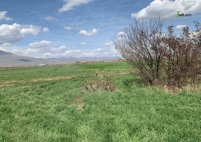 Գյուղատնտեսական հողատարածք Եղվարդում, 5000 ք.մ.