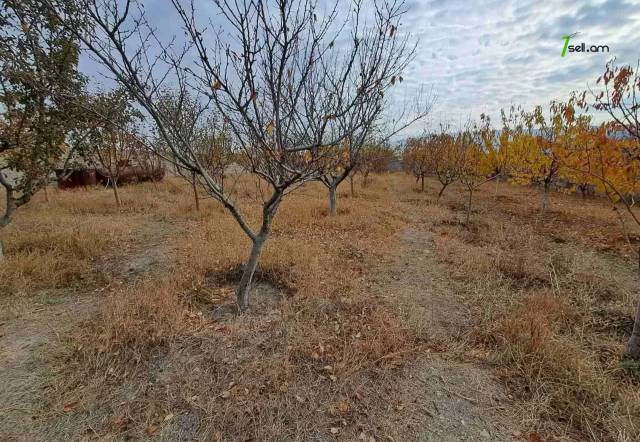 Մեկ հարկանի քարե տուն Ձորաղբյուրում, 1650 ք.մ., 2 սանհանգույց, կապիտալ վերանորոգված