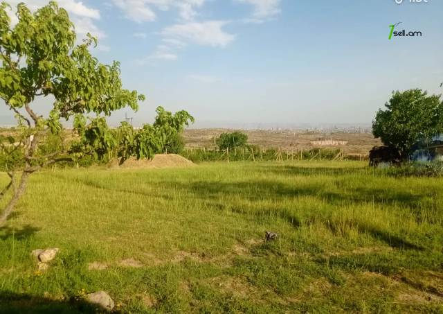 Գյուղատնտեսական հողատարածք Պռոշյանում, 2620 ք.մ.