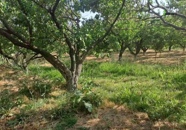 Գյուղատնտեսական հողատարածք Զովքում, 1700 ք.մ.