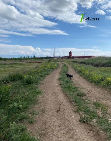 Գյուղատնտեսական հողատարածք Եղիշե Չարենցի փողոցում Ագարակում, 10,545 քմ