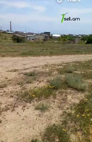 Հողատարածք բնակելի շինությունների համար Զովունիում, 874 ք.մ.