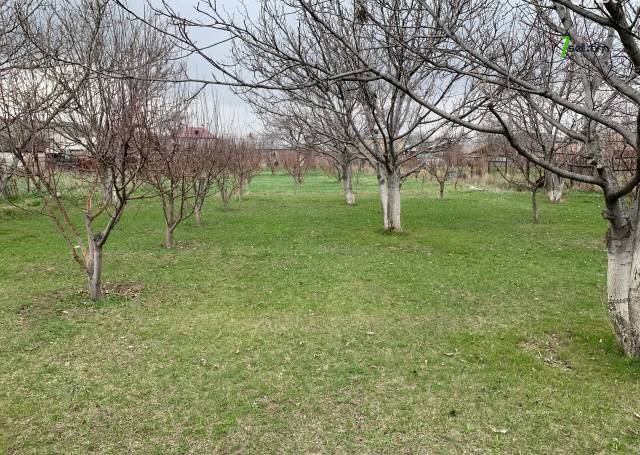 Հողատարածք բնակելի շինությունների համար Նոր Գյուղում, 2000 քմ