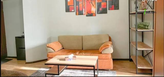 1 սենյականոց բնակարան Մովսես Խորենացու փողոցում, 31 ք.մ., բարձր առաստաղներ, եվրովերանորոգված