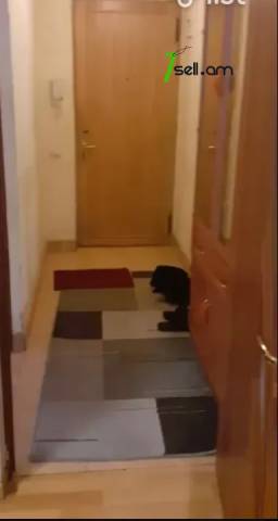 2 սենյականոց բնակարան Նանսենի փողոցում, 46 քմ, 2/5 հարկ, կոսմետիկ վերանորոգում