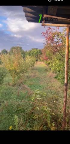 Հողատարածք բնակելի շինությունների համար 8-րդ փողոցում Կամարիսում, 1000 ք.մ.