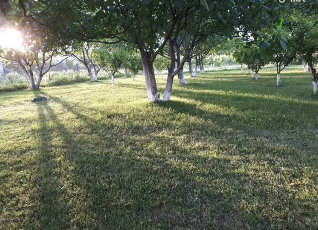 Հողատարածք բնակելի շինությունների համար Նոր Գյուղում, 2000 քմ