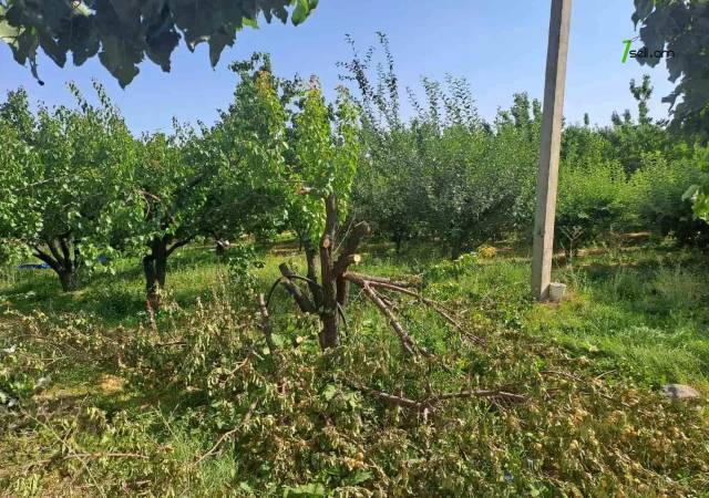 Գյուղատնտեսական հողատարածք Զովքում, 1700 ք.մ.