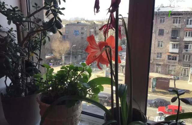 3 սենյականոց բնակարան Կոմիտասի պողոտայում, 70 ք.մ., բարձր առաստաղներ, եվրովերանորոգված, քարե շենք