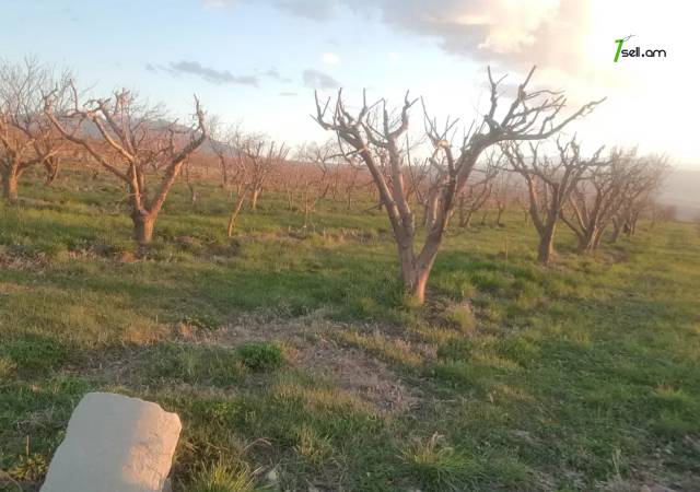 Գյուղատնտեսական հողատարածք Աշտարակում, 5000 ք.մ.