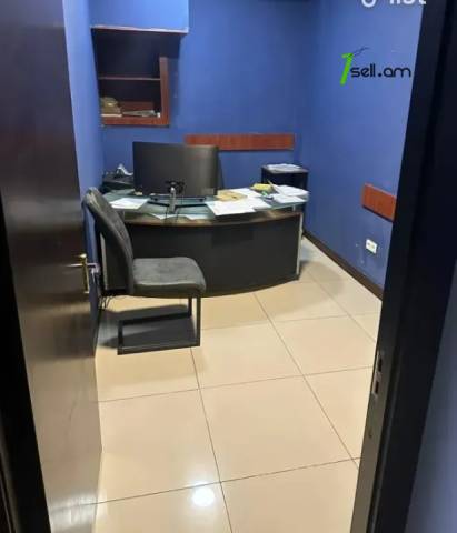 Բազմաֆունկցիոնալ գույք Մաշտոցի պողոտայում կենտրոնում, 131 քմ