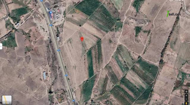 Գյուղատնտեսական հողատարածք Պռոշյանում, 3900 ք.մ.