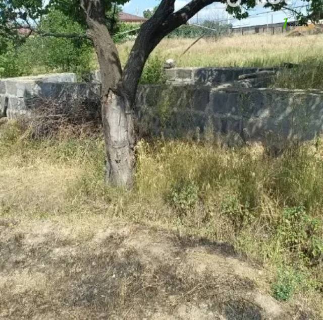 Հողատարածք բնակելի շինությունների համար Մայակովսկիում, 1000 ք.մ.