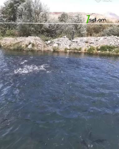 Հողատարածք բնակելի շինությունների համար Վեդիում, 40,000 ք.մ.