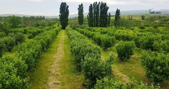Գյուղատնտեսական հողատարածք Ճանապարհորդ Լինչի փողոցում Աշտարակում, 10,000 ք.մ.