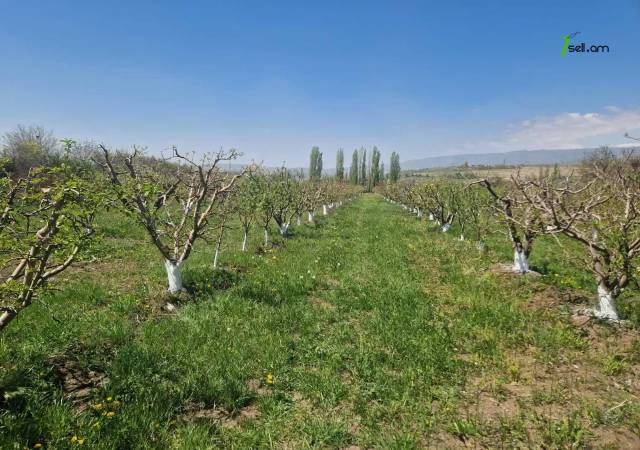 Գյուղատնտեսական հողատարածք Ճանապարհորդ Լինչի փողոցում Աշտարակում, 10,000 ք.մ.