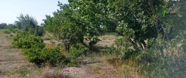 Գյուղատնտեսական հողատարածք Շենգավիթում, 3300 ք.մ.