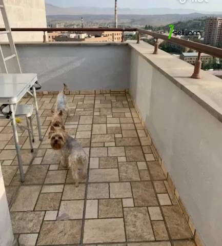 3 սենյականոց բնակարան նորակառույց շենքում Մամիկոնյանց փողոցում, 115 ք.մ., 2 սանհանգույց