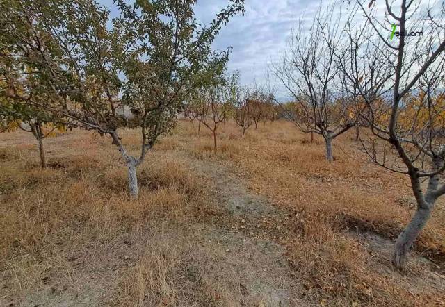 Մեկ հարկանի քարե տուն Ձորաղբյուրում, 1650 ք.մ., 2 սանհանգույց, կապիտալ վերանորոգված