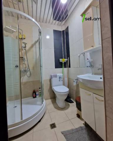 Երեք հարկանի քարե տուն Քանաքեռ Զեյթունում, 300 ք.մ., 3+ սանհանգույց, դիզայներական ոճով վերանորոգված