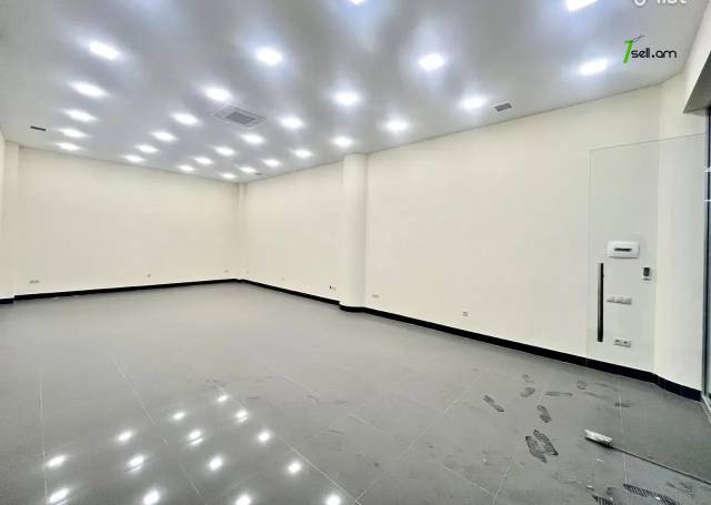 Բազմաֆունկցիոնալ գույք Սայաթ-Նովայի պողոտայում կենտրոնում, 55 ք.մ.