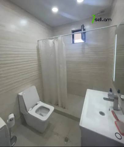 Մեկ հարկանի քարե տուն Նոր-Արեշի 46 փողոցում Էրեբունիում, 500 քմ, եվրովերանորոգված