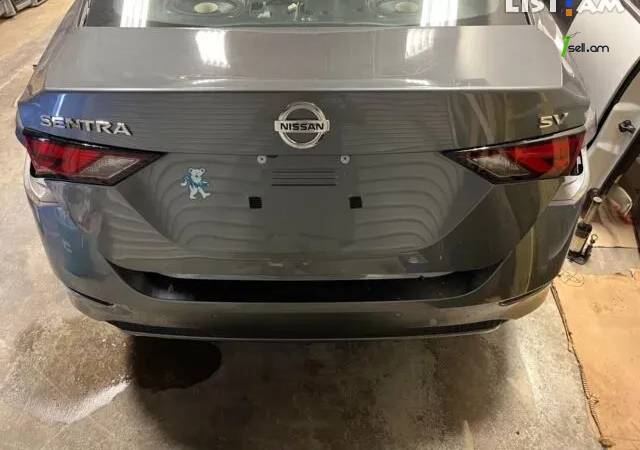 Nissan Sentra բեռնախցիկ բագաժնիկ