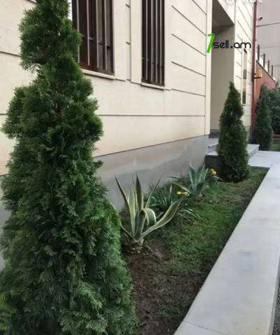 Երեք հարկանի քարե տուն, Նոյ թաղամաս Մալաթիա Սեբաստիայում, 780 ք.մ., 3+ սանհանգույց