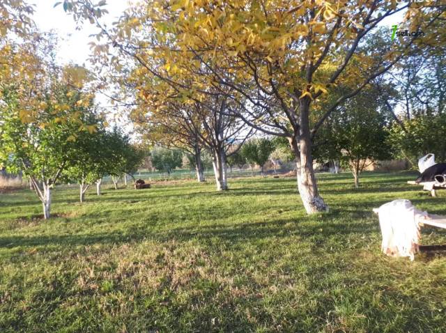 Հողատարածք բնակելի շինությունների համար Նոր Գյուղում, 2000 քմ