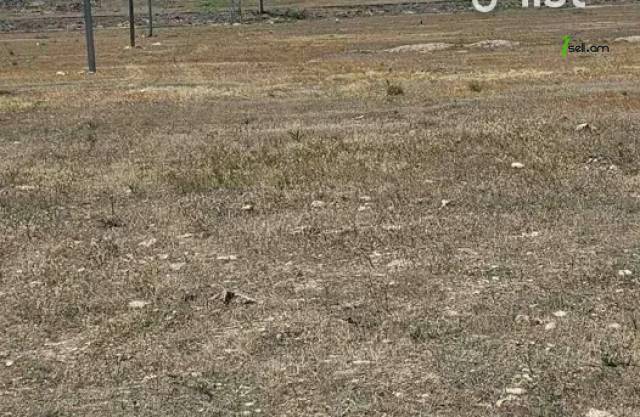 Գյուղատնտեսական հողատարածք Զովունիում, 1000 ք.մ.