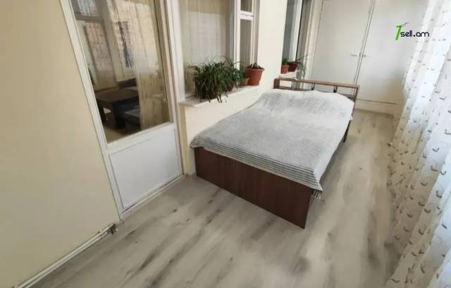 Ընդարձակ 1 սենյականոց բնակարան Իսրայելյան փողոցում, 56 ք.մ., 6/9 հարկ, կապիտալ վերանորոգված