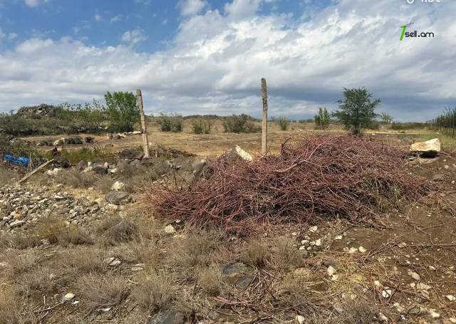 Գյուղատնտեսական հողատարածք Զովունիում, 1000 ք.մ.