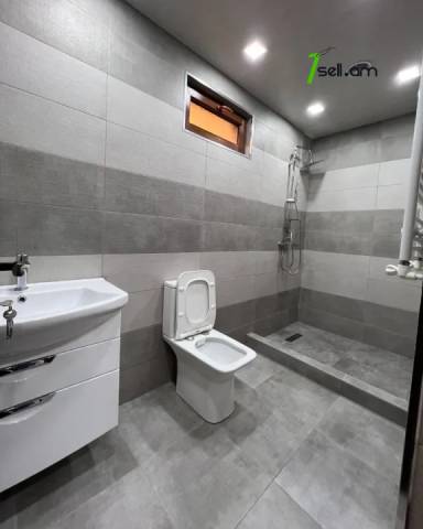 Մեկ հարկանի քարե տուն Ազատության պողոտայում Արաբկիրում, 370 ք.մ., 3+ սանհանգույց, եվրովերանորոգված